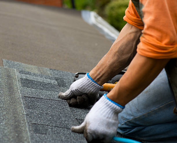 Best Storm Damage Roof Repair  in Coraopolis, PA